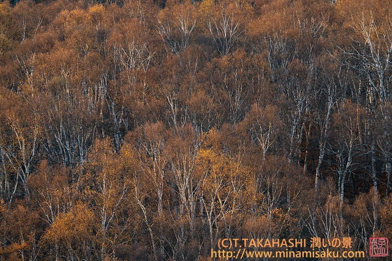 ../Images/7R251108 (20).jpg